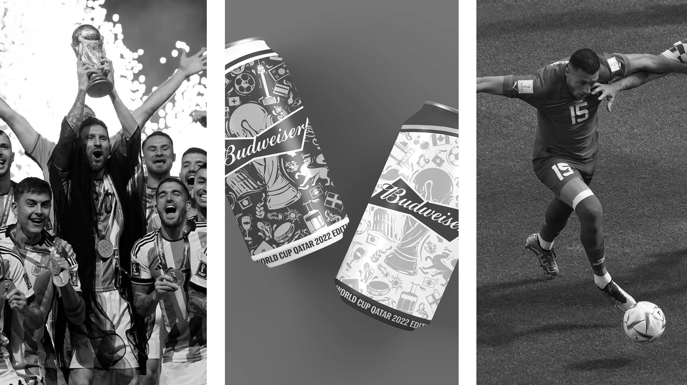 Budweiser FIFA Edition: image 4 of 5